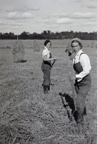 Agronomstudenterna Kristina Hackzell och Vivica i höarbete på Suontaka gård. 1936.
Foto: M. Kulhia. Vivica Bandlers arkiv, Svenska litteratursällskapet i Finland.